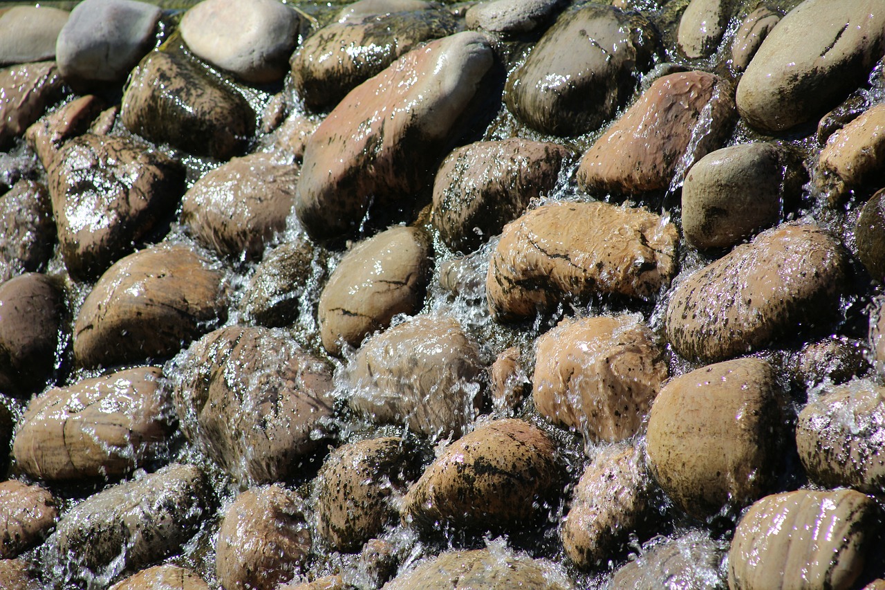 生蚝上市，新鲜海味盛宴开启