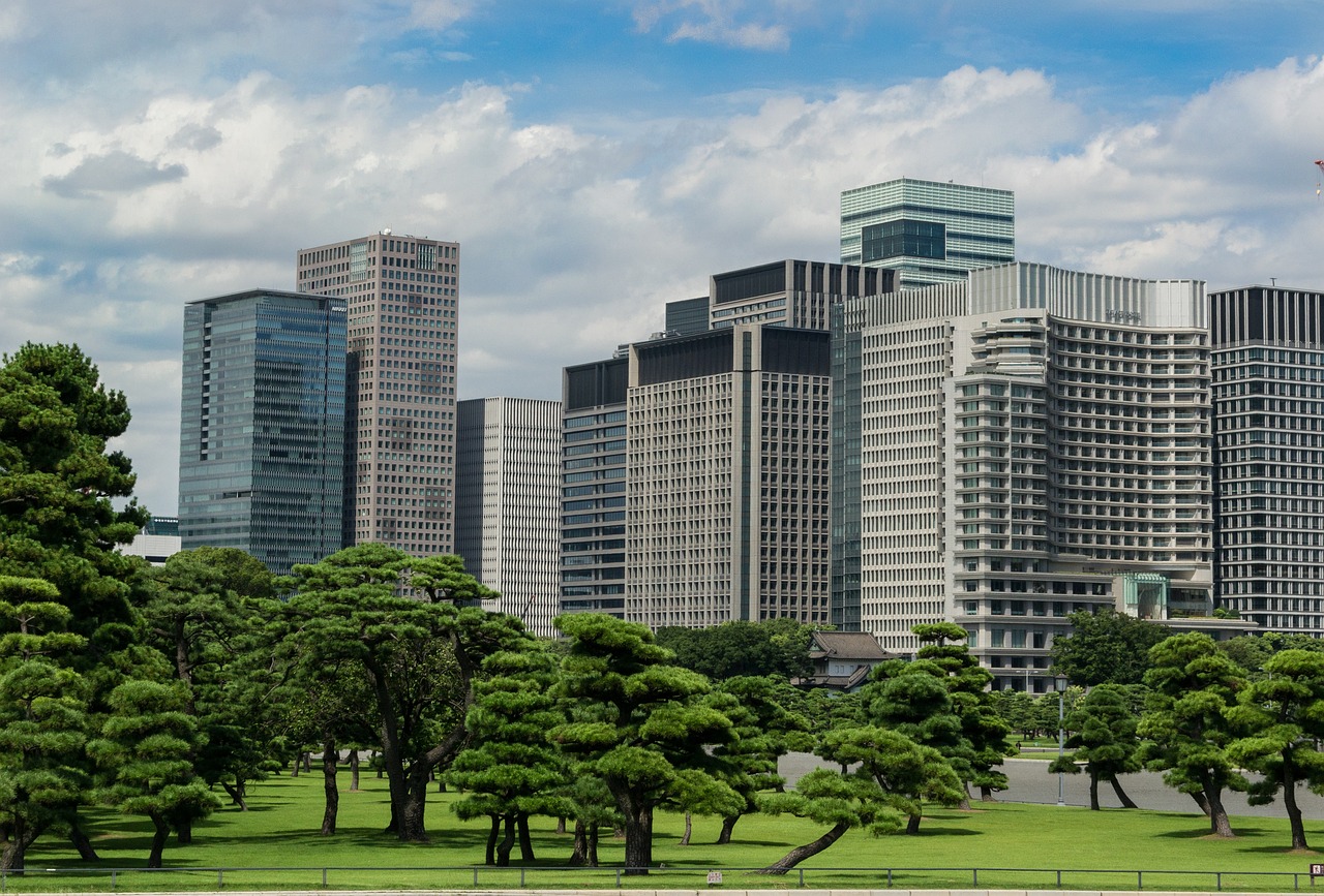 武义最新住宅项目，探寻现代城市生活的理想家园